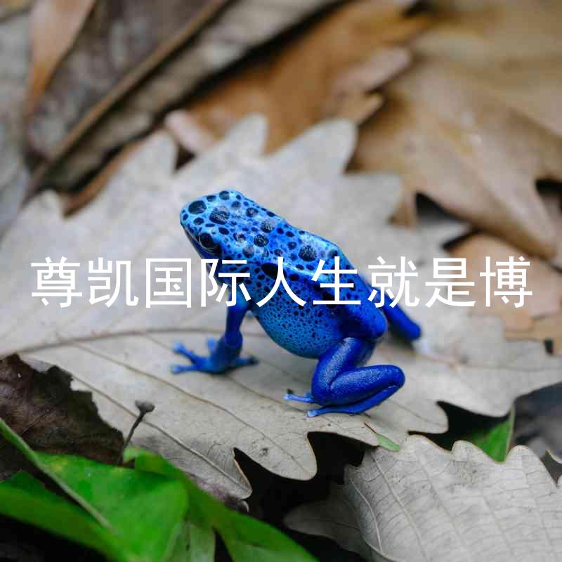 尊凯国际人生就是博