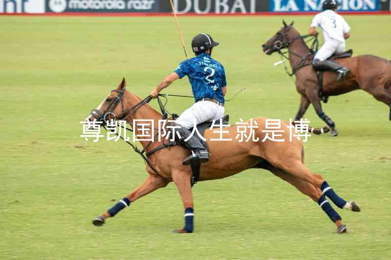 尊凯国际人生就是博
